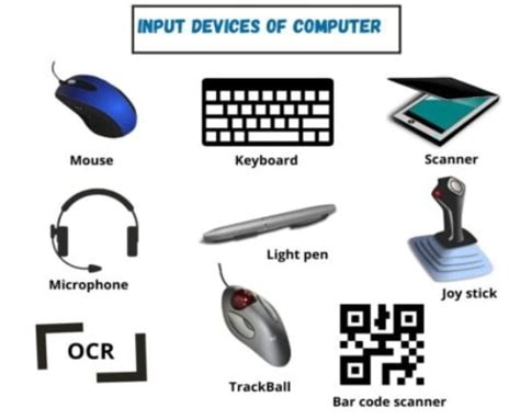 Complete Input And Output Devices Of Computer With Examples