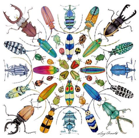 Beautiful Beetles Poster By Lucy Arnold Insect Art Beetle Art Bug Art