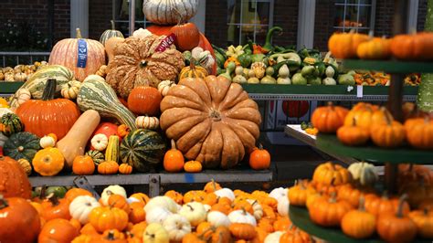 Circleville's Pumpkin Show in October canceled due to pandemic