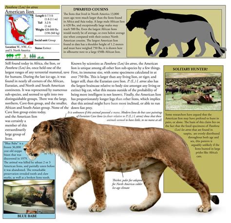 Panthera Leo Atrox By Dantheman9758 On Deviantart Dinosaurs And Other