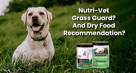 Nutri Vet Grass Guard And Dry Food Recommendation By Kwik Pets On