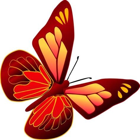 Butterfly Wings Clipart Free Download On Clipartmag