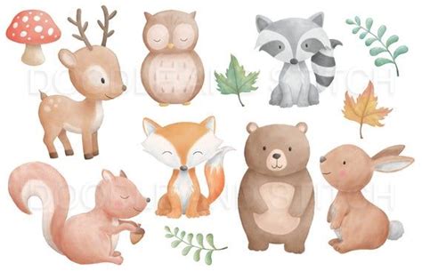 Woodland Animals Watercolor Clipart Forest Animal Clip Art Etsy
