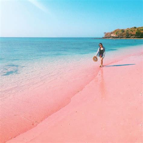 10 Most Exquisite And Attractive Indonesia Beaches Pink Beach Pink
