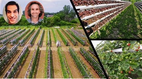 Outdoor Vertical Farming With Khaled Majouji Youtube
