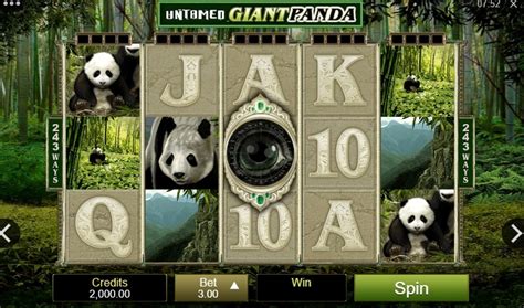 Untamed Giant Panda เกมสล็อต Microgaming เล่นสล็อต Pg ที่นี่ Pg Slot