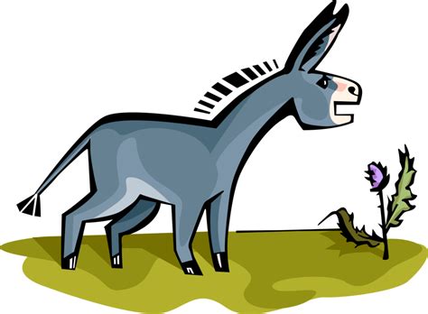 If you own this content, please let us contact. Mule clipart domesticated, Mule domesticated Transparent ...