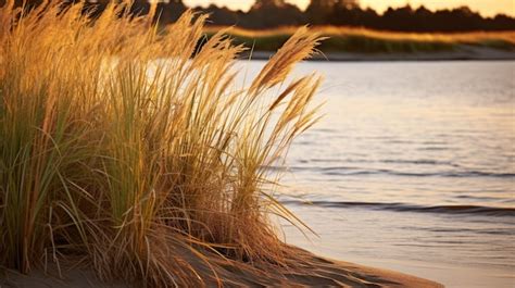 Premium Ai Image A Photo Of A Sandy Riverbank With Reeds Golden Hour