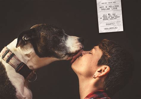 White Bim Animal Shelter Kiss 4 Ads Of The World™ Dog Kisses