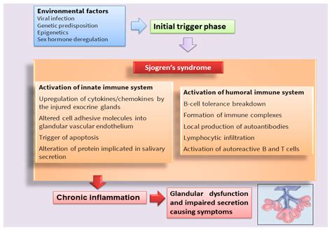 Ijms Free Full Text Molecular Mechanisms Linking Inflammation To