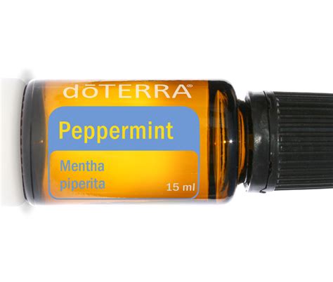 Doterra Peppermint Essential Oil Uses And Reviews NatureIsAMother Org
