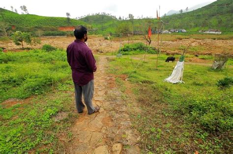 Rescue operations continue in puthumala| mathrubhumi news. അന്ന് നൂറിലധികംപേരെ കൈപിടിച്ചുകയറ്റി; ഇന്ന് അവർക്ക് ജീവിതം ...