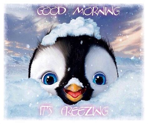 Good Morning Pinguinos Animados Imagenes Animadas Animales Bonitos