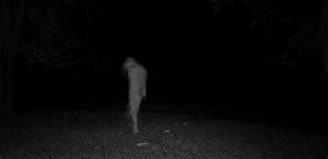 Creepy Woods Creepy Ghost Scary Ghost Orbs Wow Image Paranormal