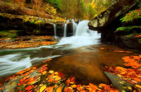 Autumn Forest Waterfall Hd Wallpaper Background Image