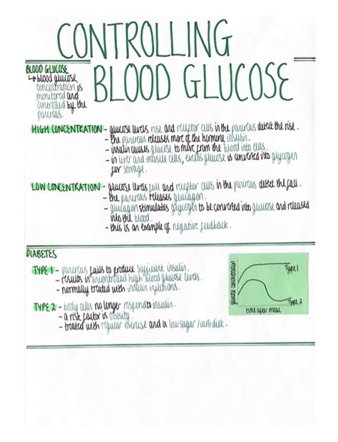 Blood Glucose Homeostasis Response Revision Poster Aqa Gcse Biology Double And Triple