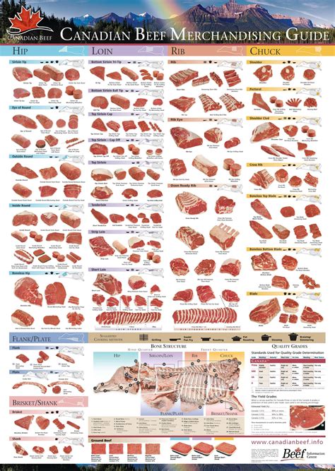 Beef Meat Chart Cuts
