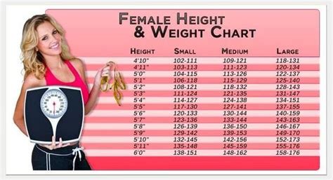 Allowance Applicable Lime Average Weight For A Female Weight Hick Housing