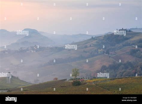 Langhe Cuneo District Piedmont Italy Barolo Wine Region Stock Photo