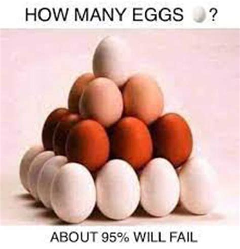 How Many Eggs Meme Discover More Interesting Egg Eggs Fail How Many Memes