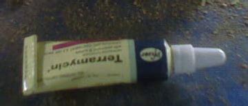 Koleksi Baka Arnab Terbaik Something For SALES