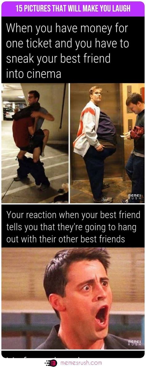 15 Funny Pictures That Will Make You Laugh Out Loud Friendship Memes