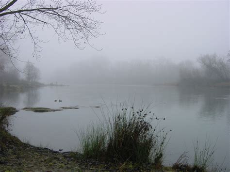 Fog By American River California Photo 559084 Fanpop