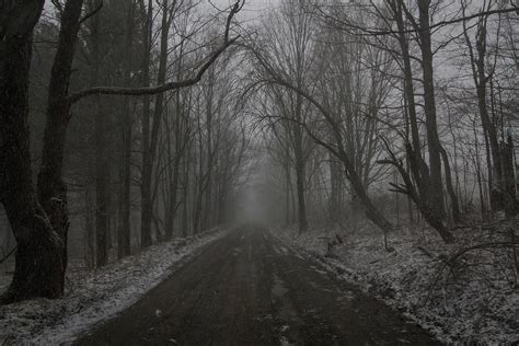 Creepy Snow On A Seasonal Road Photograph By Daniel Dangler