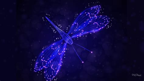 Purple Dragonfly Wallpapers Top Free Purple Dragonfly Backgrounds