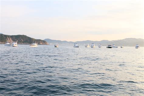 25° Campeonato Mundial De Pesca Deportiva Con Sede En Acapulco