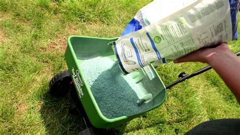 How To Overseed Your Lawn With Scotts Turf Builder Ace Hardware