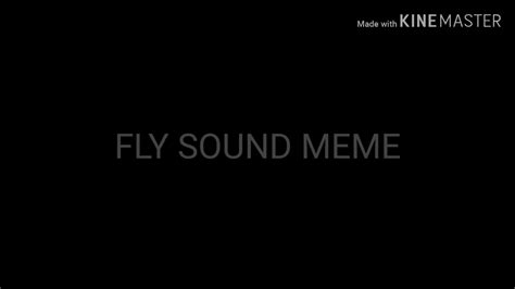 Fly Sound Meme Youtube