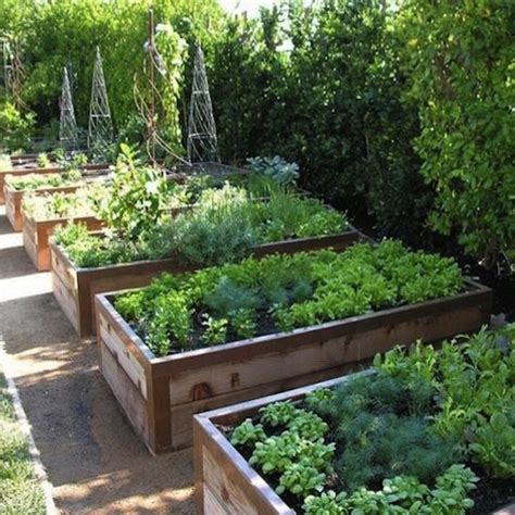 Container Gardening Growing Vegetables In Urban Planters