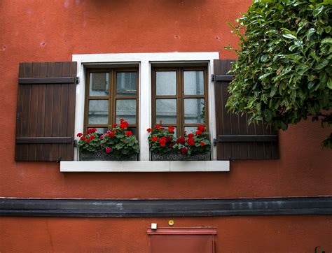 Fenster mit Blumen... Foto & Bild | architektur, profanbauten
