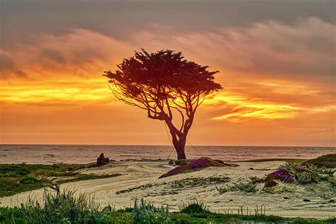 Pebble Beach Sunset Photograph By Meta Gatschenberger Fine Art America