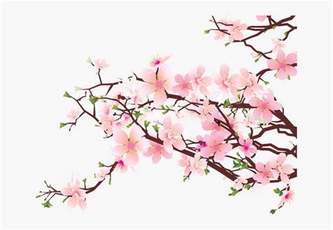 30 Top For Cherry Blossom Aesthetic Japan Drawing Mariam Finlayson