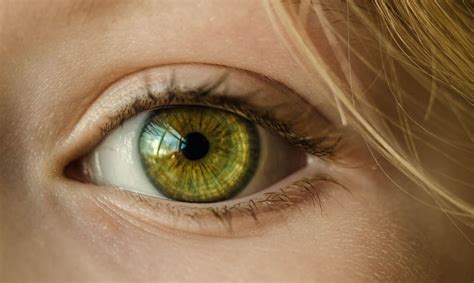 4 Natural Ways To Keep Your Eyes Healthy And Happy Guidelines Health