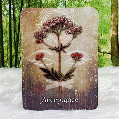 Magickal Herb Oracle Enchanting Secrets From The Garden Gypsy Moon