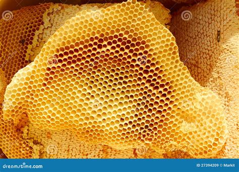 Honeycomb Pieces In Bright Sunlight Royalty Free Stock Images Image
