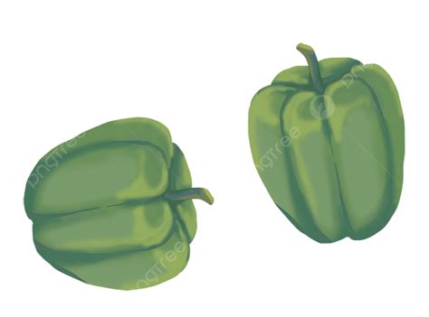 Vegetable Green Pepper Vegetables Ingredients Green Pepper Png