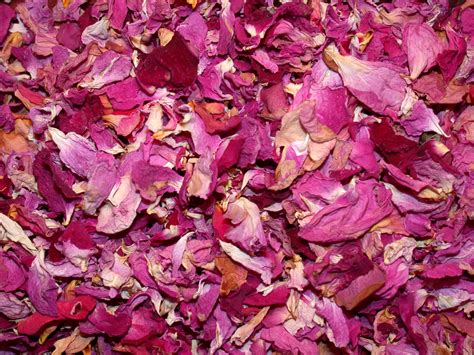 Herb Magic Catalogue Rose Petals