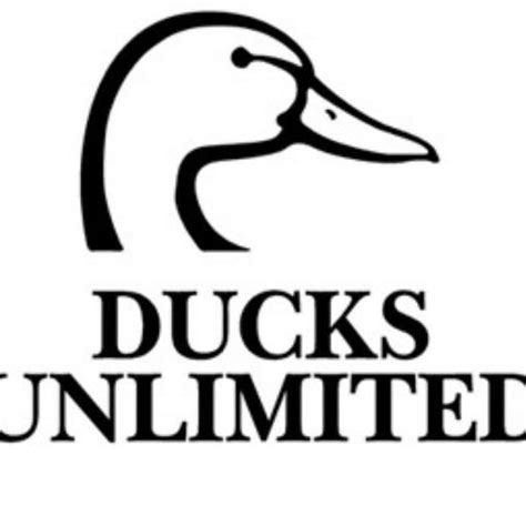 18th Annual Ducks Unlimited Banquet Coming To Wayne November 11 Wdn