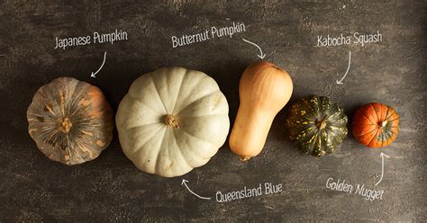 A Guide To Different Types Of Pumpkin The Neff Kitchen