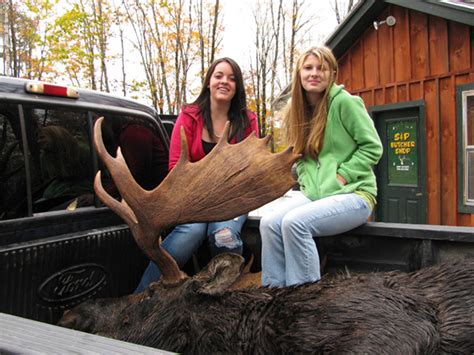 Maine Moose Hunt Fully Guided Jackman Maine Moose Permit