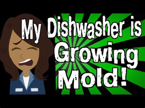 After cleaning up the water your first priority is likely how do i stop my dishwasher from a dishwasher's door gasket is a rubber edge that provides a tight seal when the door is closed, preventing leaks. My Dishwasher is Growing Mold! - YouTube