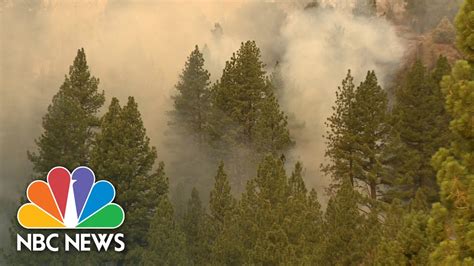 Tamarack Fire California Fire Forces Multiple Evacuations One News