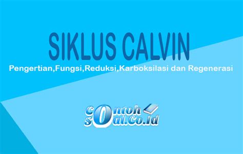 Check spelling or type a new query. Siklus Calvin - Pengertian, Fungsi, Reduksi, Karboksilasi ...