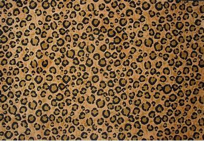 Leopard Animal Desktop Gold Wallpapers Tsc Rugs