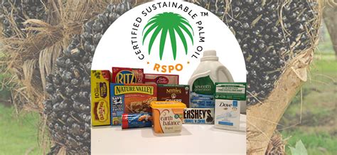 Companies Using Sustainable Palm Oil