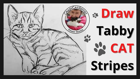 How To Draw Tabby Cat Stripes The Easy Way Cross Contour Sketching Tutorial For Beginning